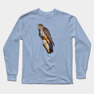 Karearea - NZ Falcon Long Sleeve T-Shirt